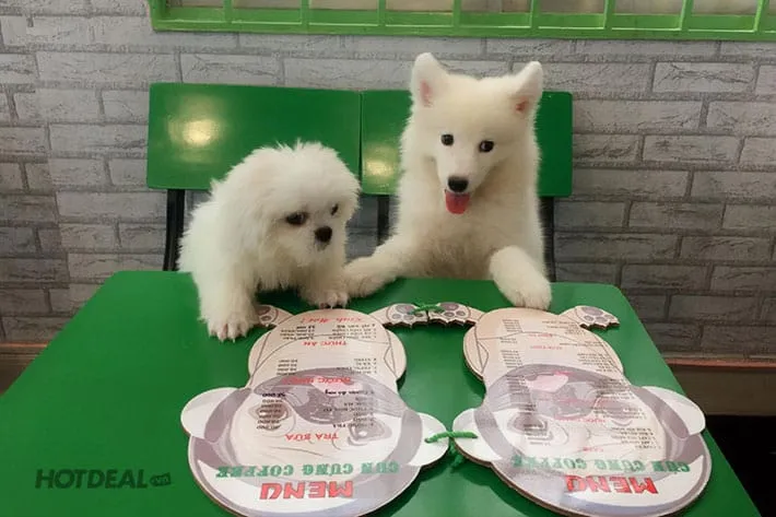 Hai anh em chọn menu