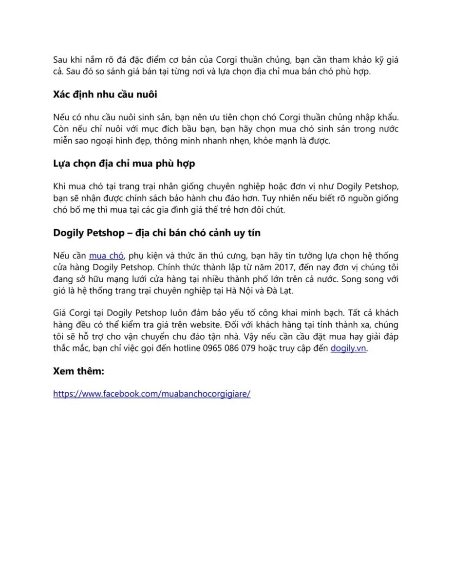 corgi màu blue merle hiếm giá cao