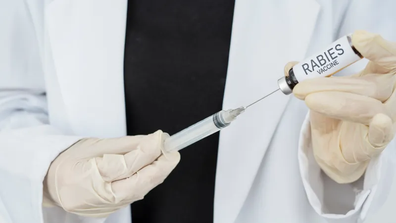 Tiêm chủng định kỳ là cách duy nhất để bảo vệ mèo khỏi virus dại chết người