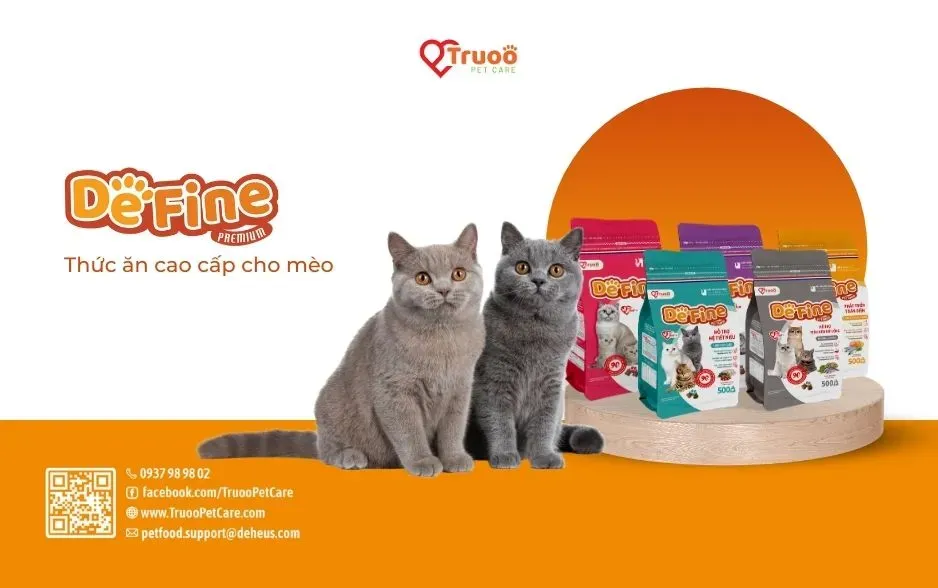Thức ăn cao cấp DeFine Cat chăm sóc hệ tiêu hóa cho mèo