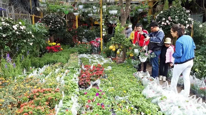 Vận chuyển thú cưng an toàn tại Hải Phòng