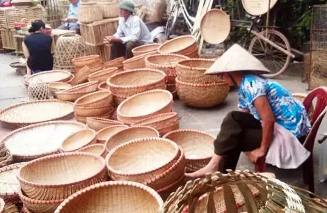 Kiểm tra sức khỏe chó mèo trước khi mua