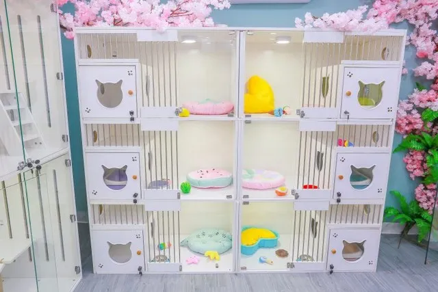 Dịch vụ trông giữ thú cưng đặc biệt trong các kỳ nghỉ lễ dài ngày như Tết 2026