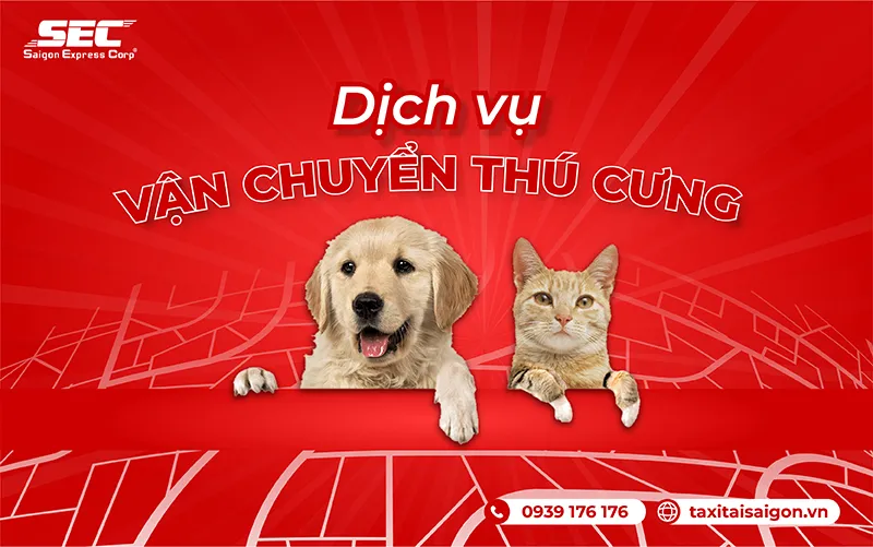 Dịch vụ vận chuyển thú cưng chuyên nghiệp