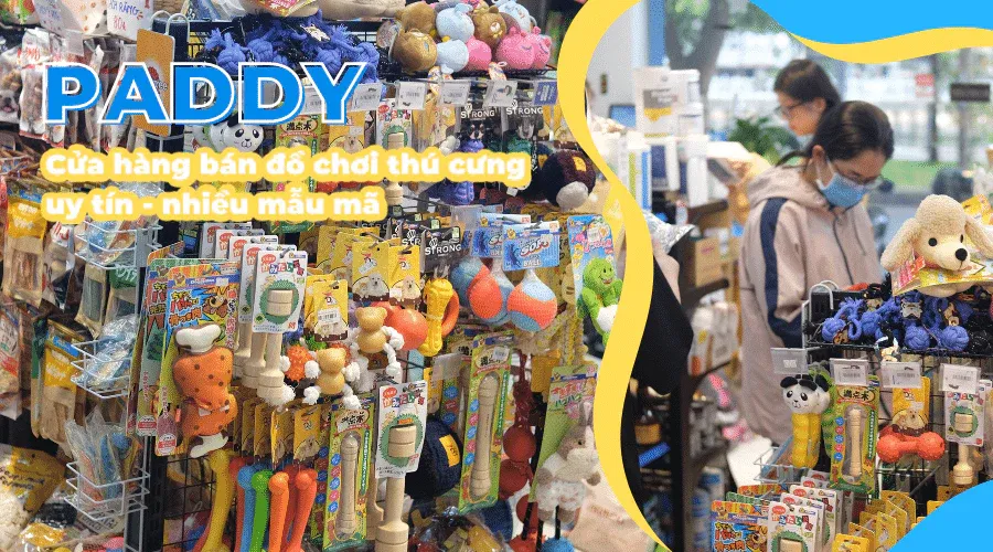 Chọn địa chỉ mua đồ chơi cho chó con uy tín