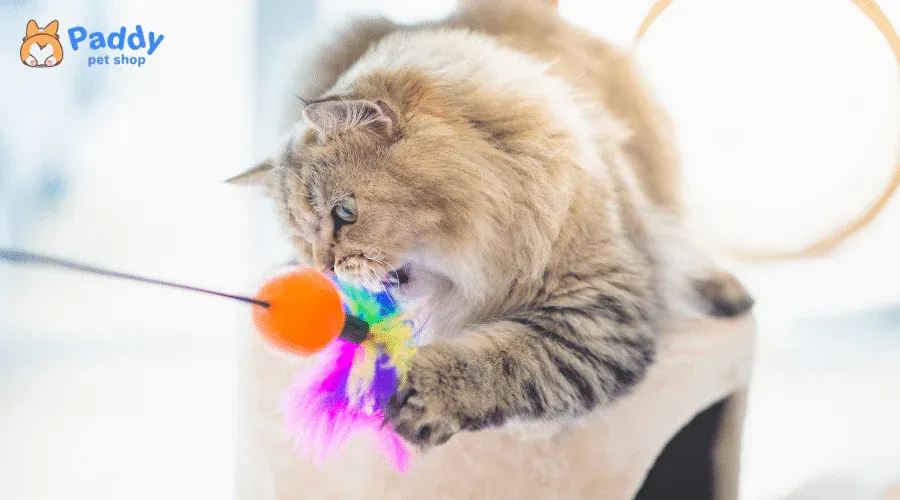 Chuột đồ chơi kích thích bản năng săn mồi tự nhiên của mèo