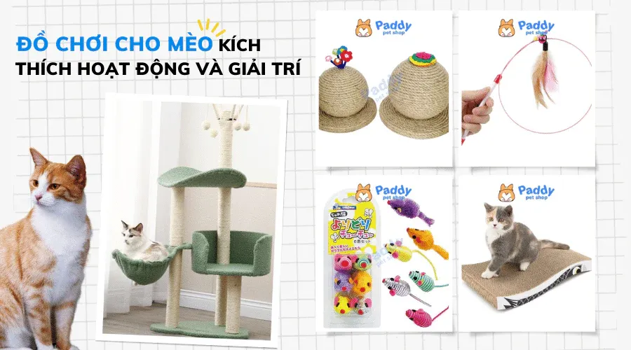 Các loại chuột đồ chơi cho mèo với chất liệu và tính năng khác nhau
