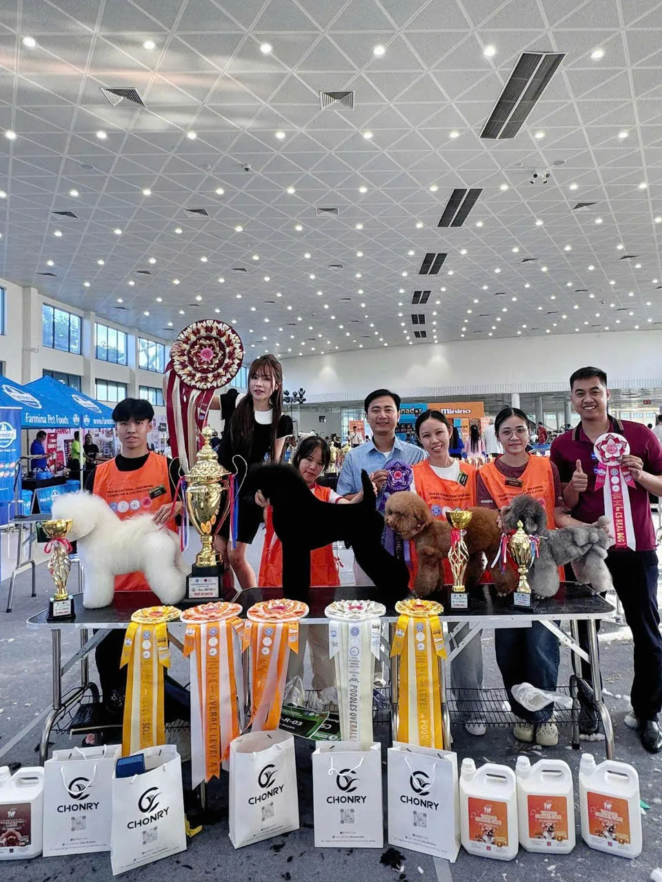 Thành tích của đội ngũ groomer tại các cuộc thi chuyên nghiệp