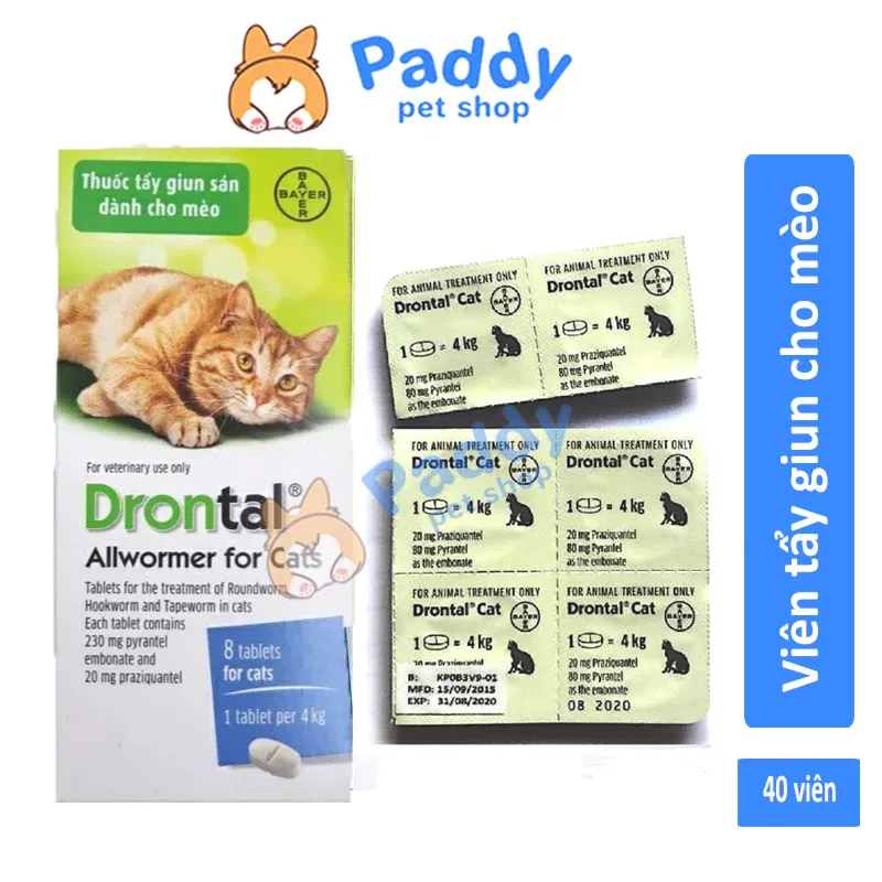 Sản phẩm thuốc tẩy giun Drontal dành cho mèo đóng gói dưới dạng viên nén tiện lợi
