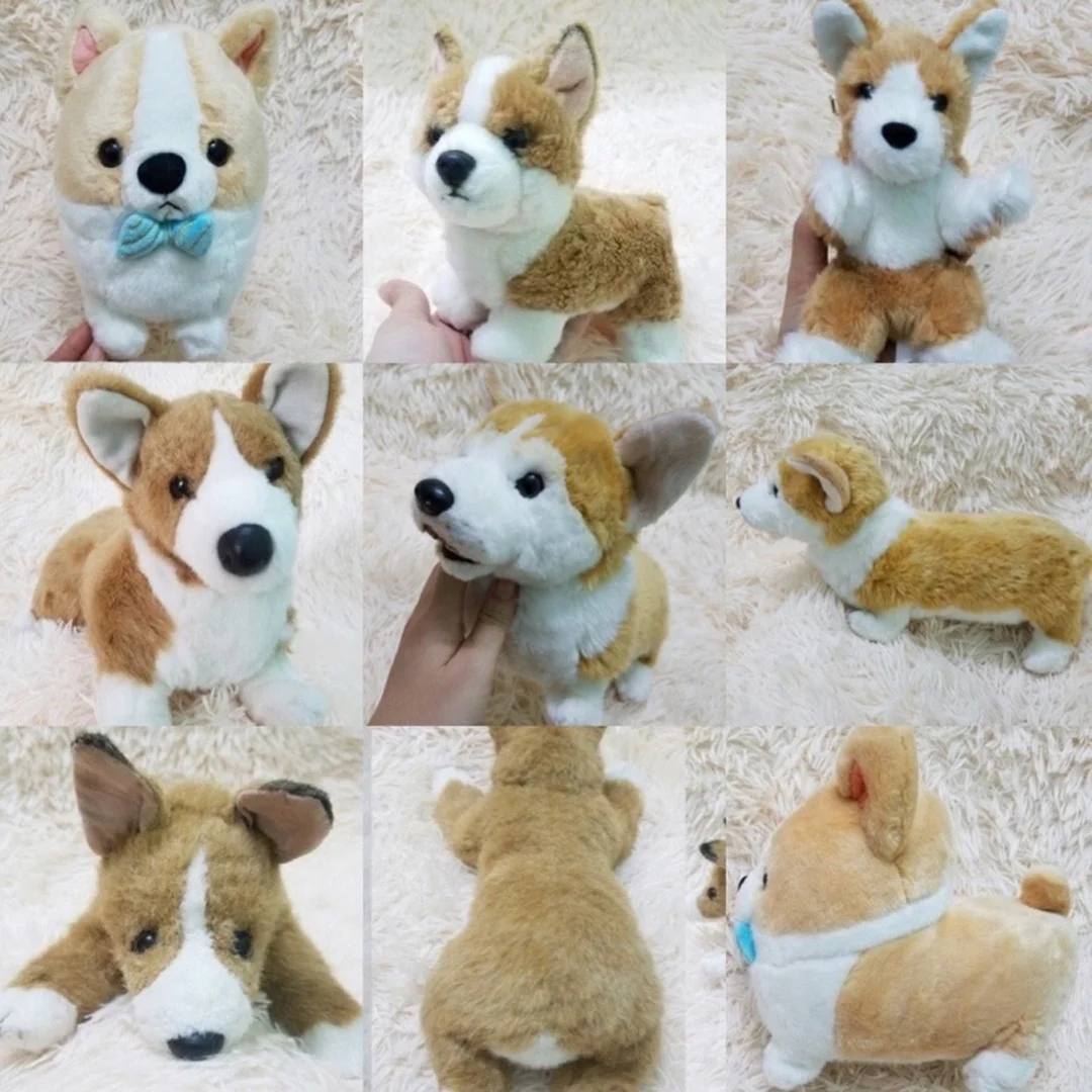 gấu bông chó corgi mông tim làm quà tặng