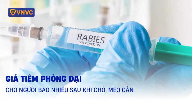 giá tiêm phòng dại
