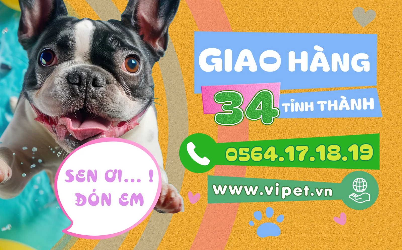 Dịch vụ thu mua chó cảnh chuyên nghiệp tại TP.HCM