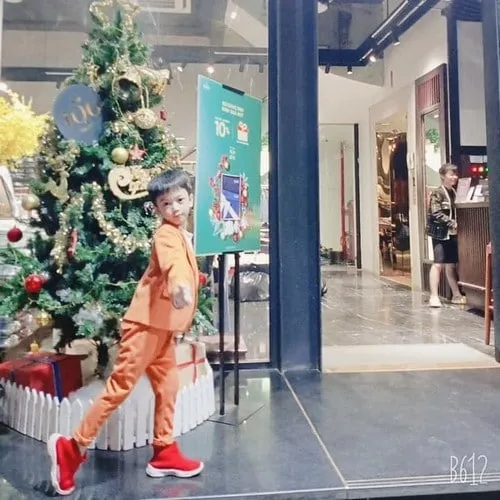 phản hồi về sức khỏe mèo cảnh