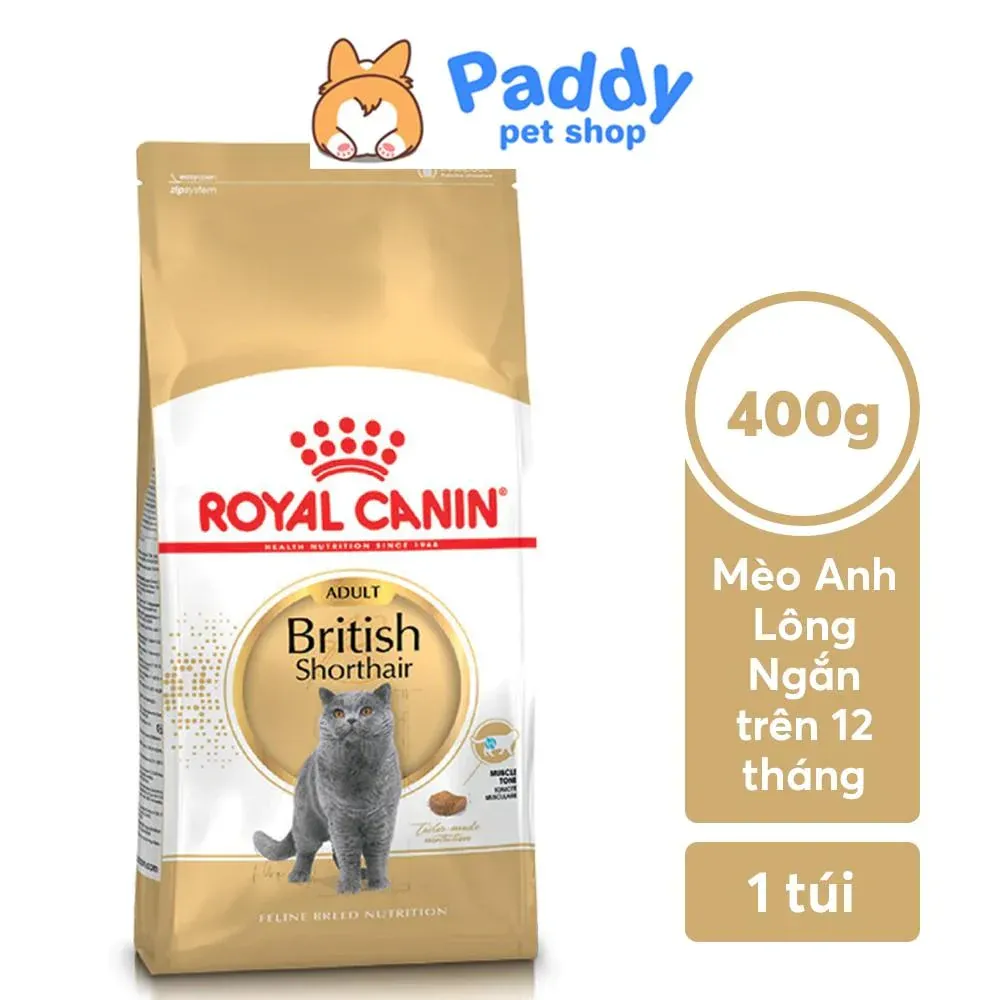 hat-royal-canin-british-shorthair-cho-meo-anh-long-ngan