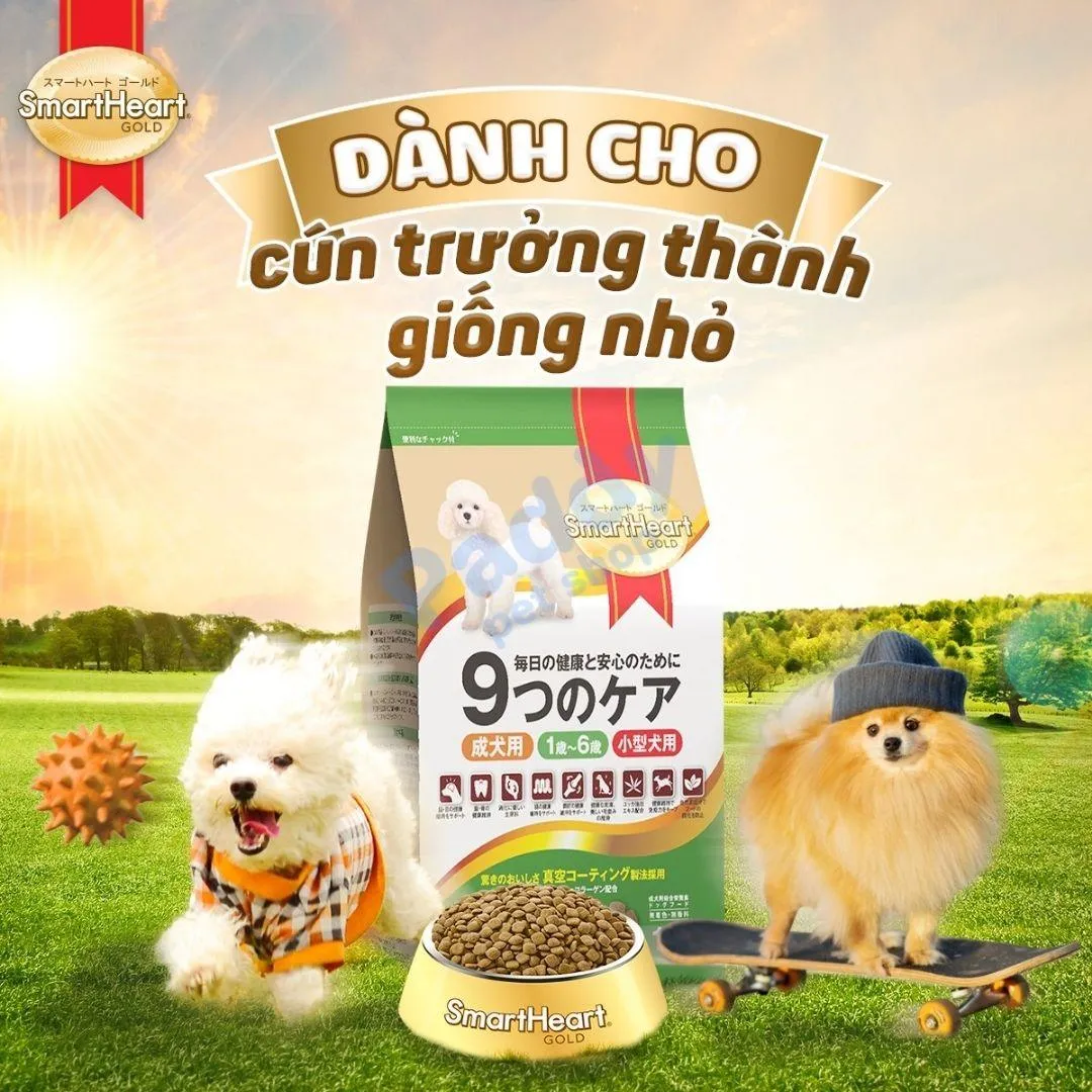 SmartHeart Gold vị cừu cho chó Phốc Sóc