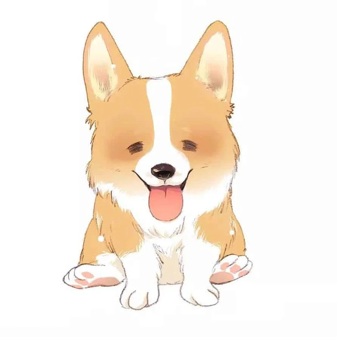 hình nền chó corgi hoạt hình cười vui nền pastel