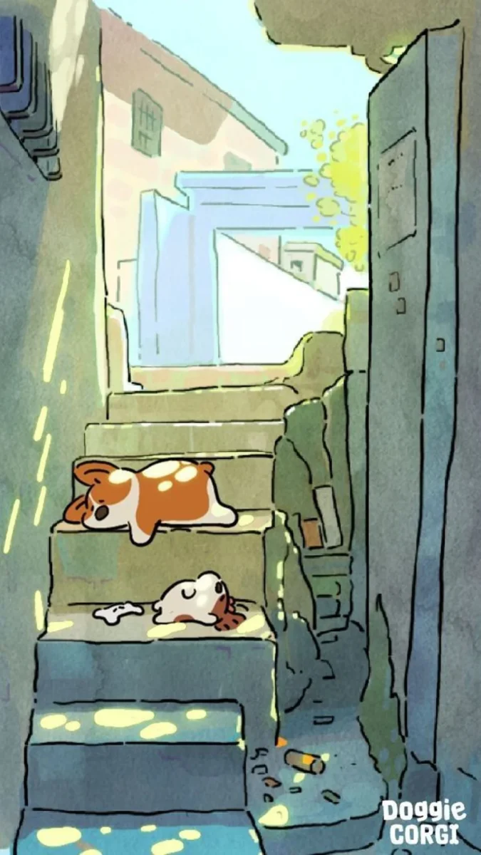 hình nền điện thoại chó corgi dễ thương trong khung dọc