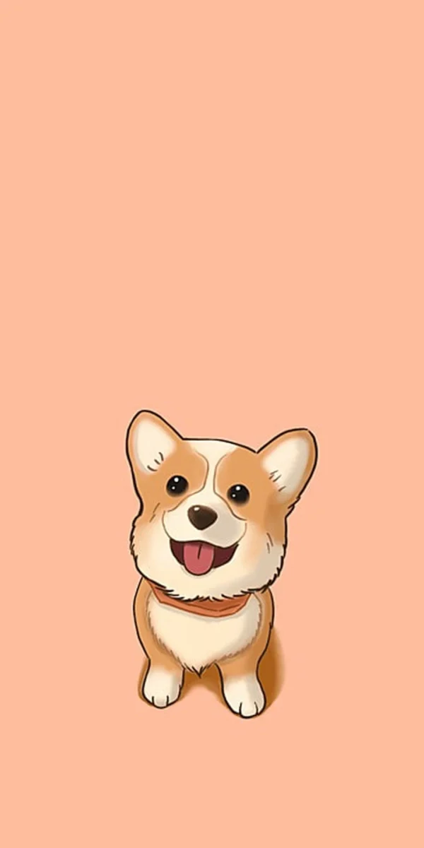 hình nền điện thoại chó corgi màu vàng đáng yêu