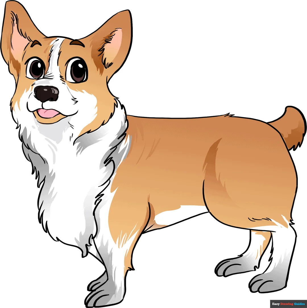 hình vẽ chó corgi phong cách hoạt hình đã tô màu