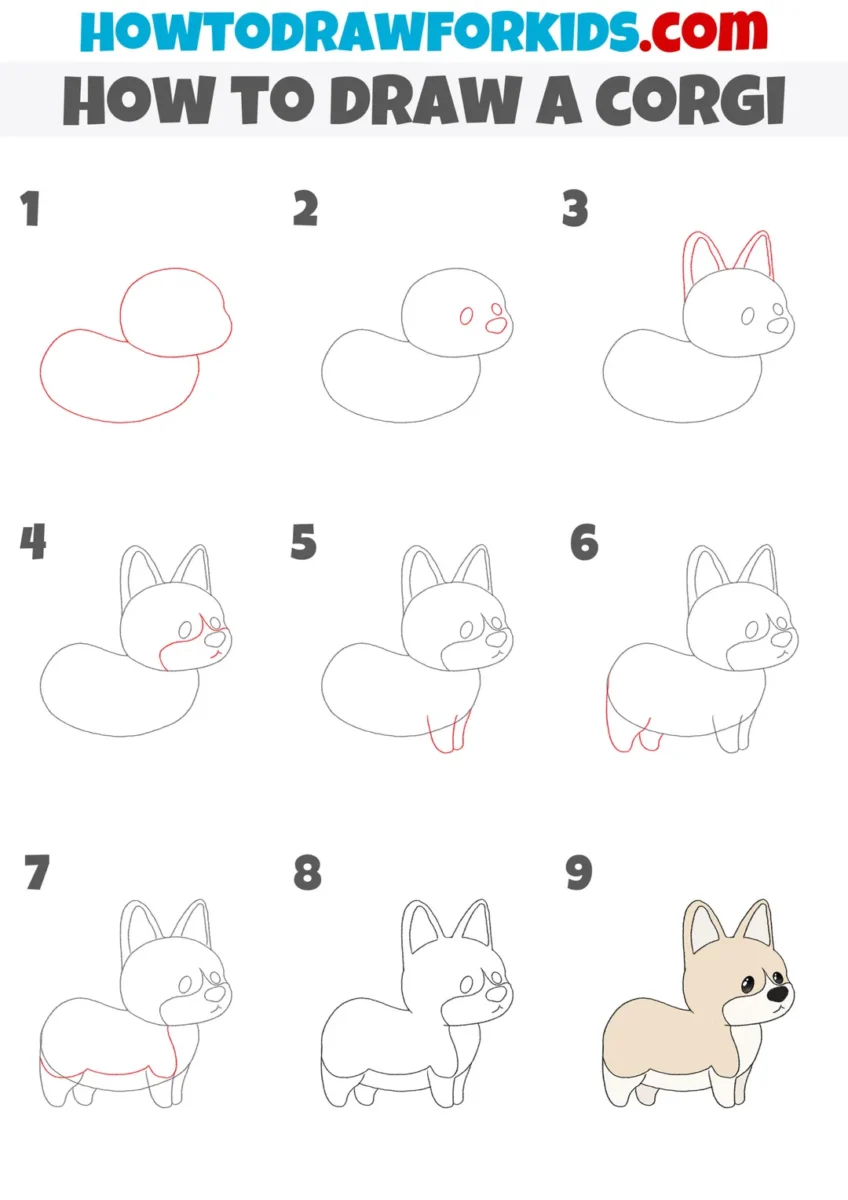 hình vẽ chó corgi từng bước bằng khối cơ bản