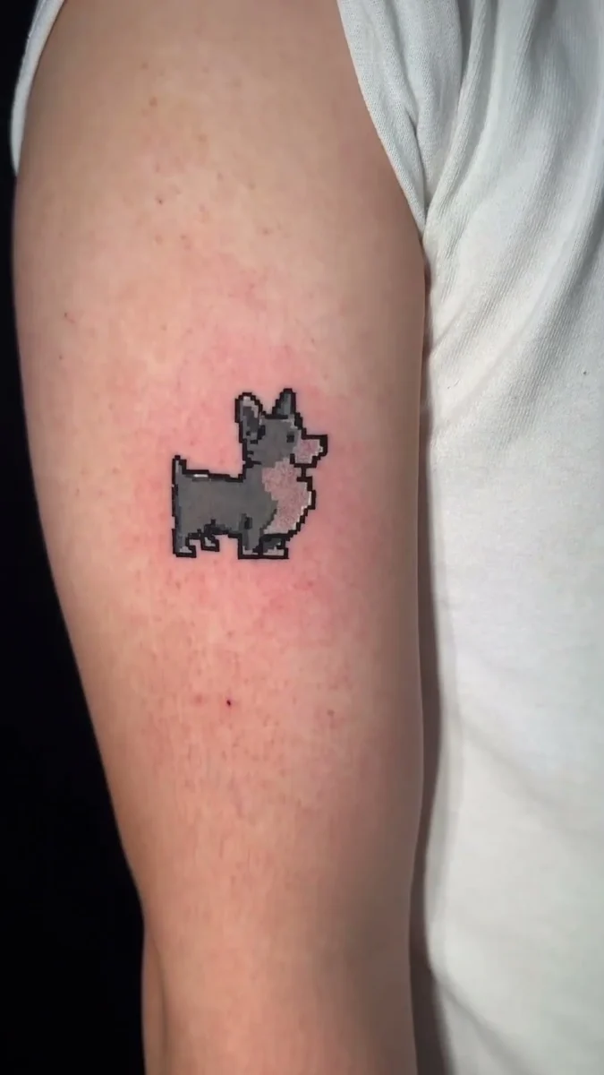 hình xăm chó corgi lấy cảm hứng từ thú cưng