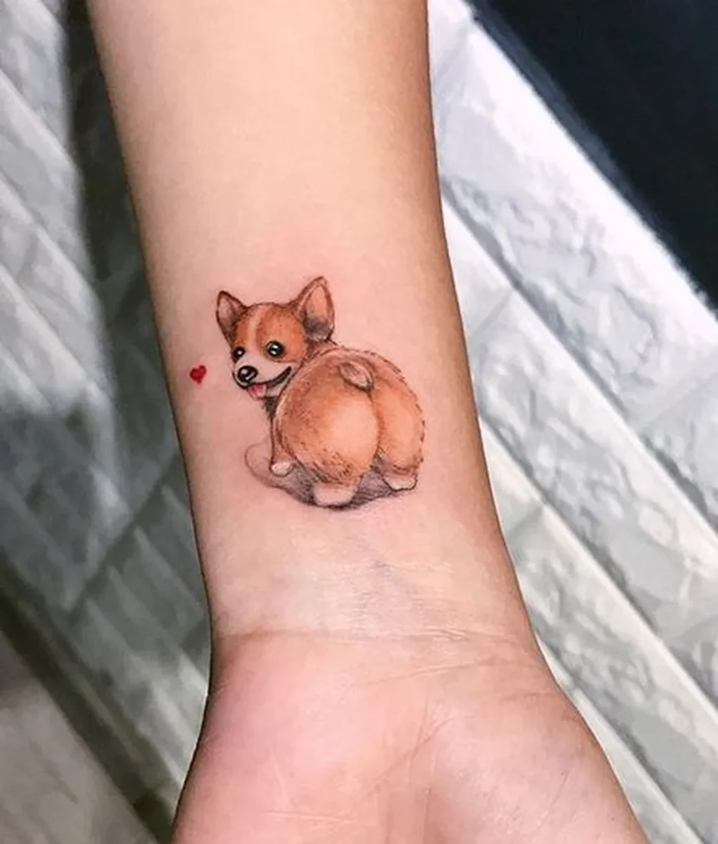 hình xăm chó corgi phong cách chân dung thú cưng