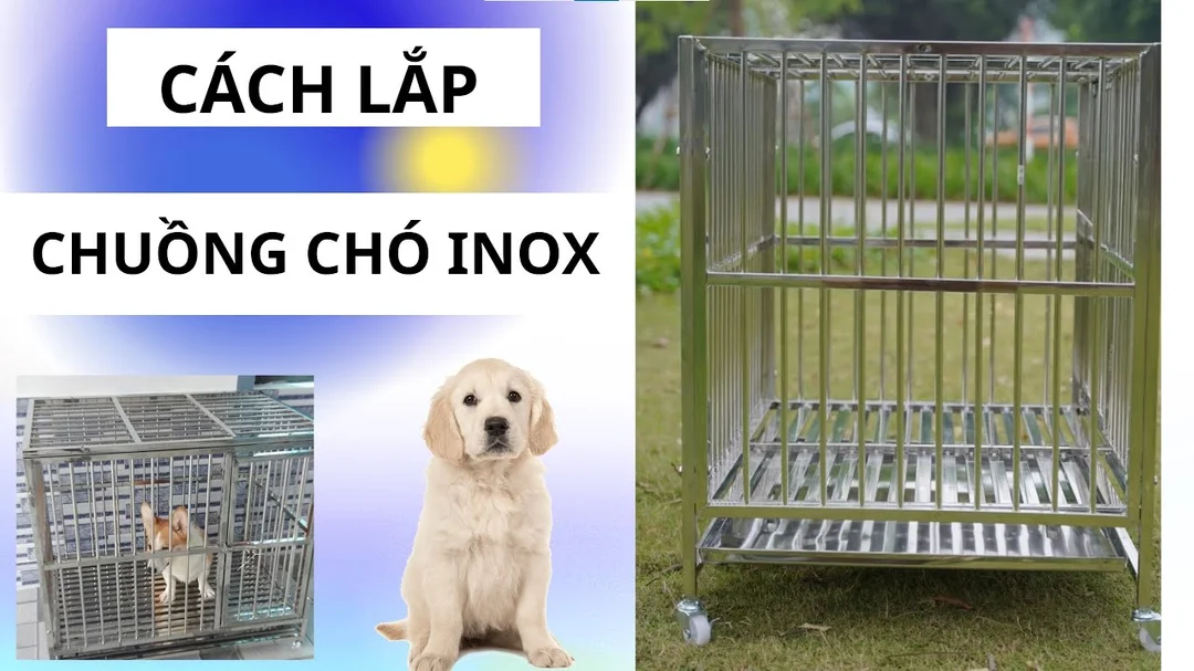 Hướng dẫn lắp lồng chó inox cho Corgi