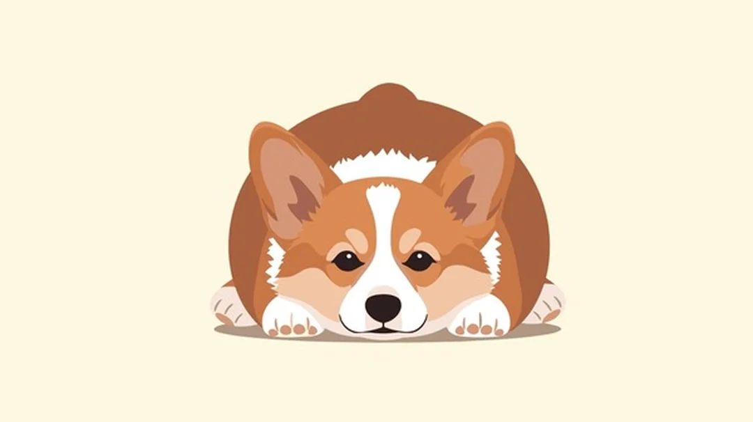 icon chó corgi nằm phong cách vector đáng yêu