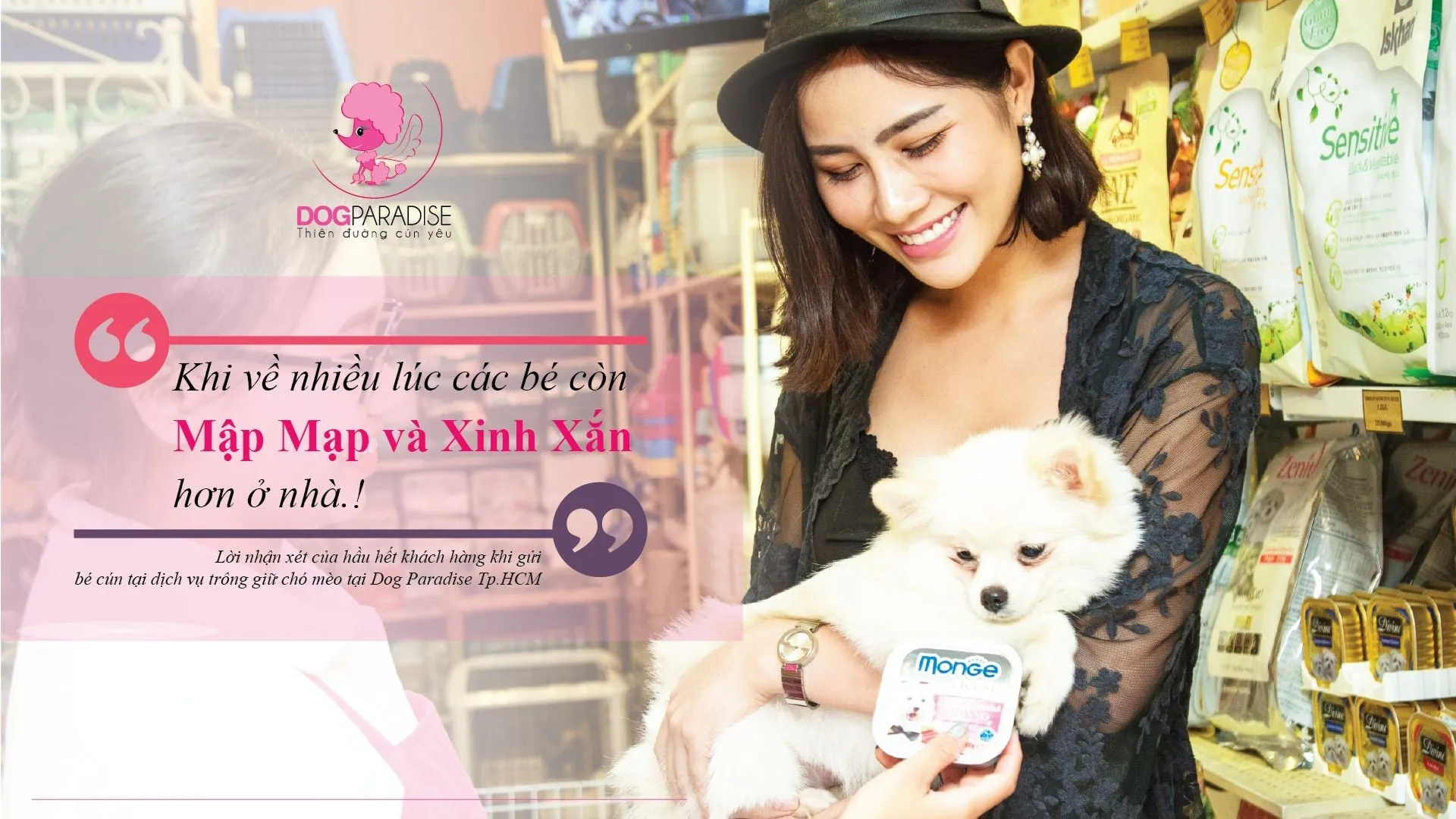 Không gian phòng lưu trú riêng biệt tại khách sạn chó mèo TPHCM DogParadise với hệ thống chuồng sạch sẽ, thoáng mát