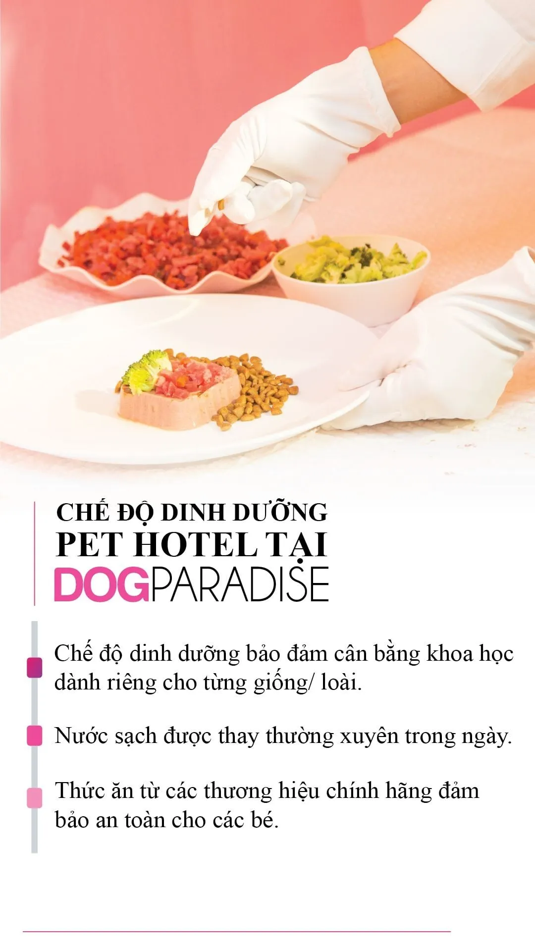 Khu vực nghỉ ngơi riêng tư cho mèo với thiết kế đa tầng, giúp mèo cảm thấy an toàn