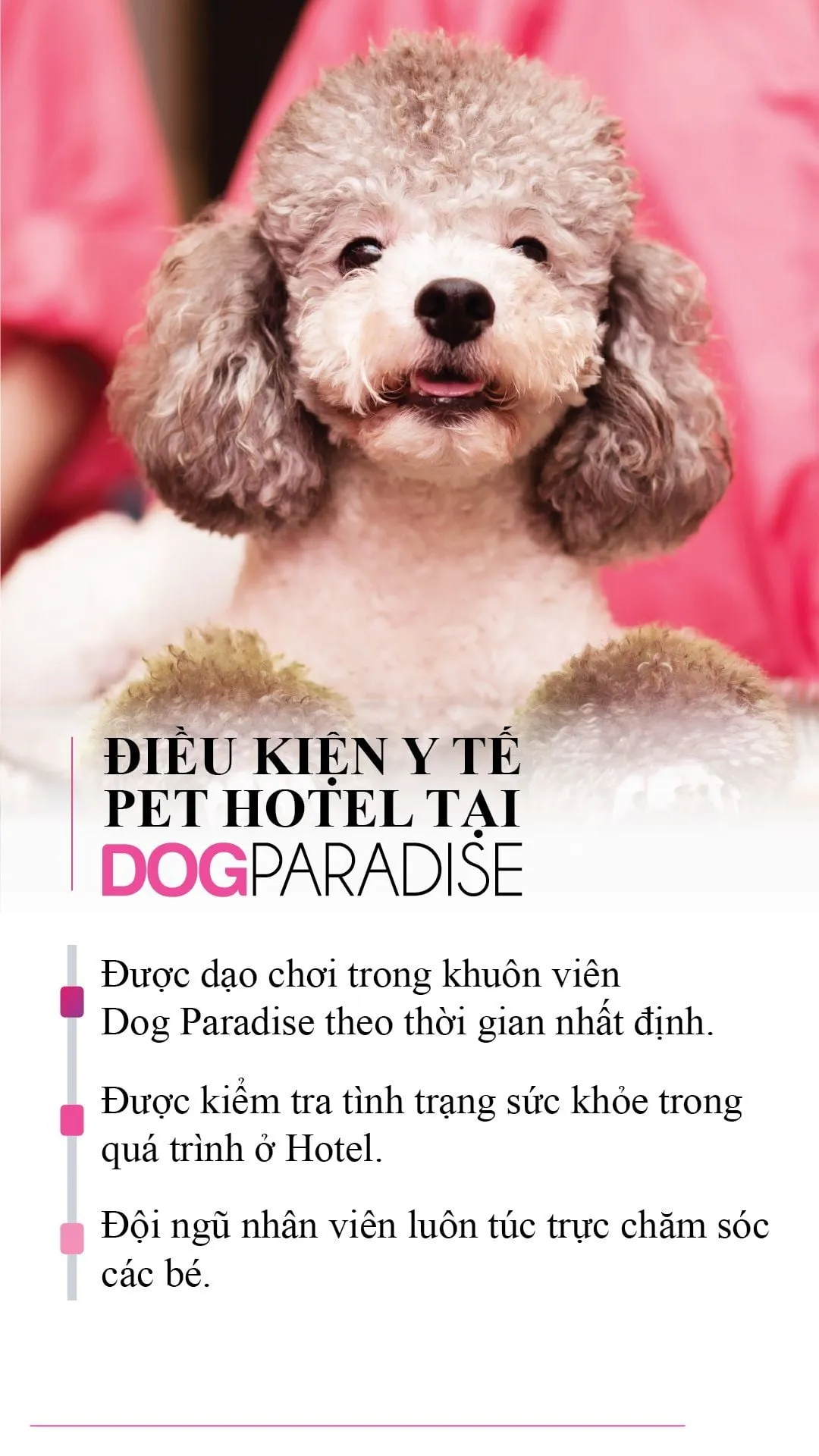 Hệ thống camera giám sát 24/7 giúp chủ nuôi theo dõi thú cưng từ xa