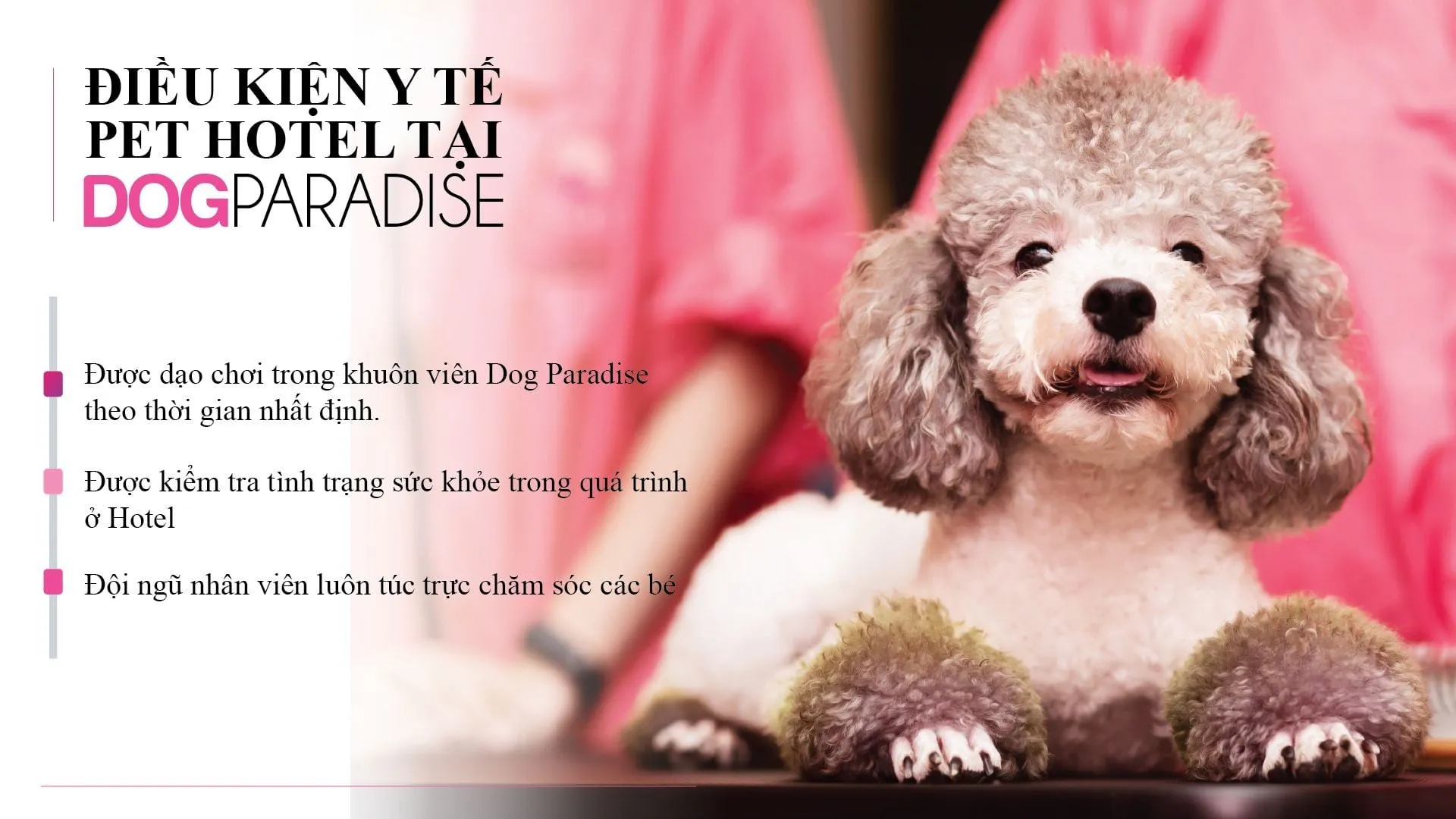 Quy trình chăm sóc vệ sinh hàng ngày đảm bảo môi trường sạch sẽ, hạn chế mùi hôi