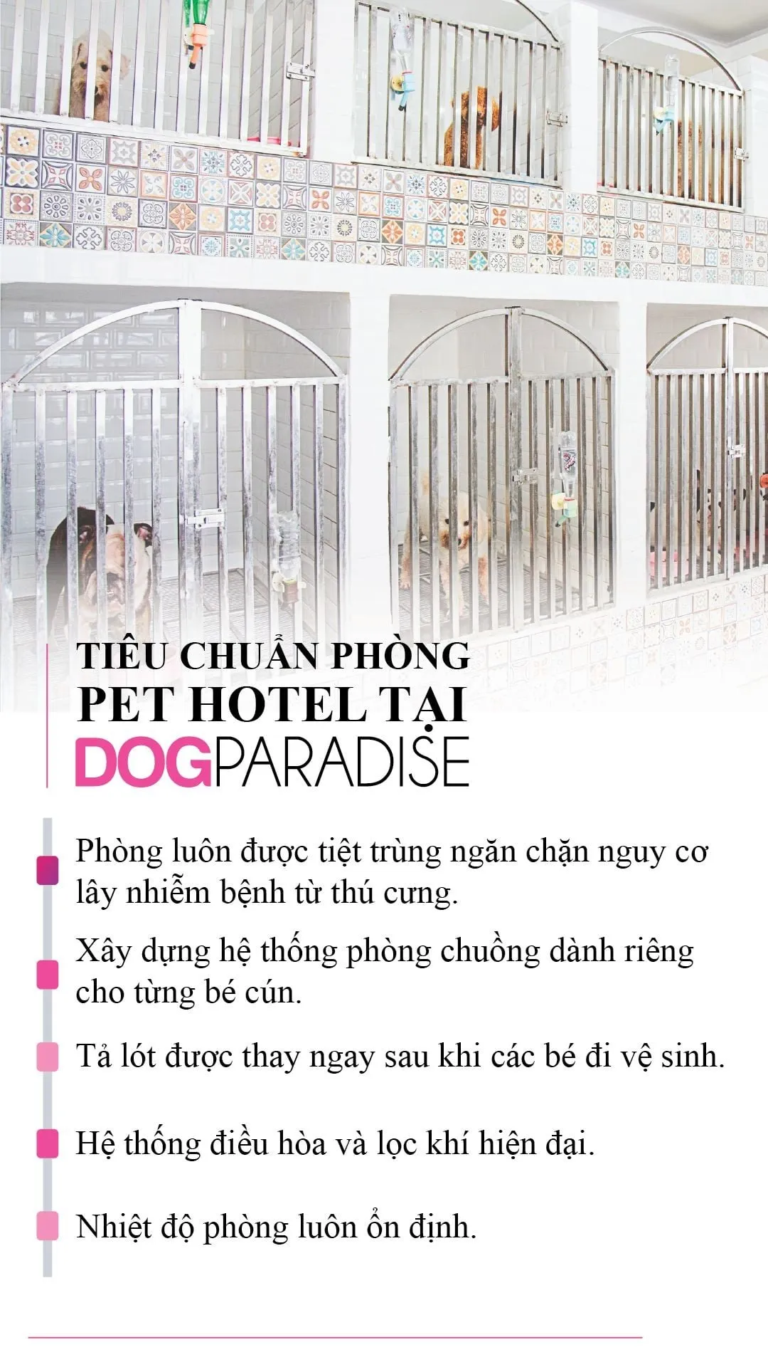 Khu vực tiếp nhận và tư vấn chuyên nghiệp, giải đáp mọi thắc mắc của chủ nuôi