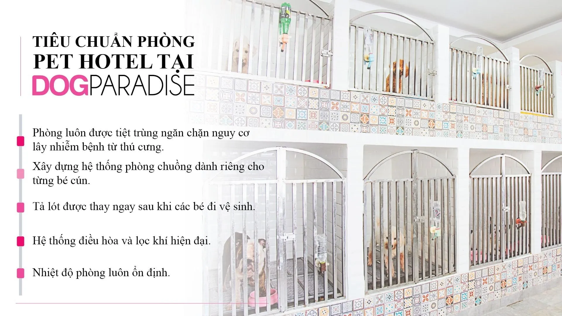 Không gian riêng tư cho từng thú cưng, tránh tiếp xúc trực tiếp giữa các cá thể lạ