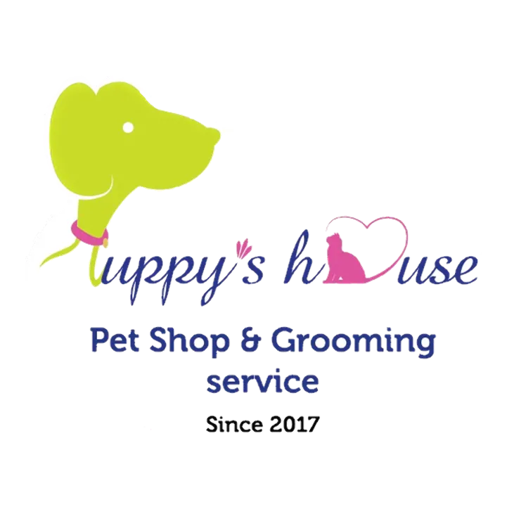 Thú cưng khỏe mạnh với bộ lông bóng mượt sau chăm sóc đúng cách