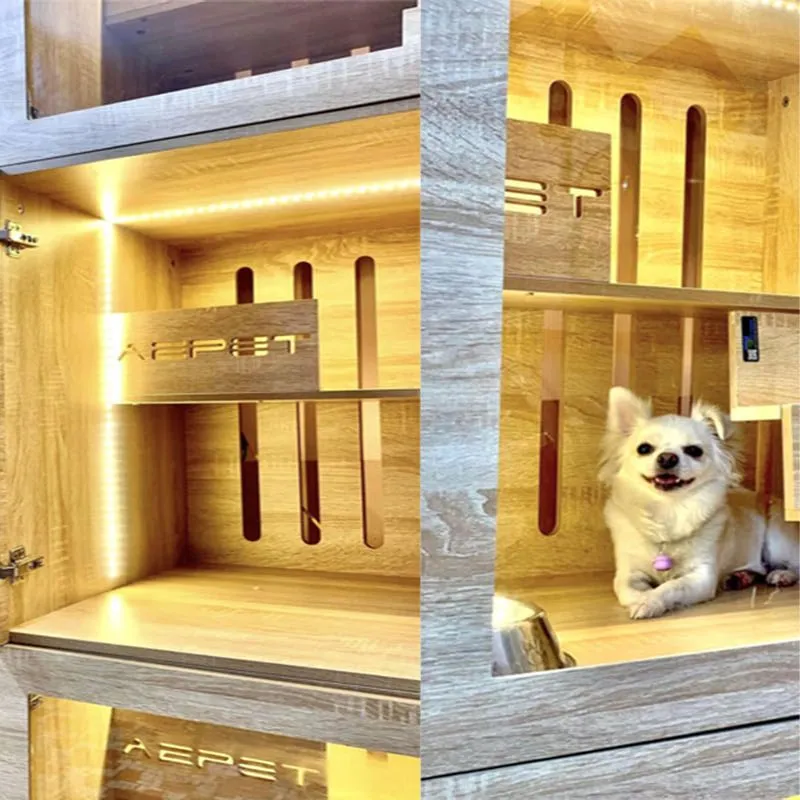 Khách sạn chó mèo tại Đồng Nai với cơ sở vật chất hiện đại