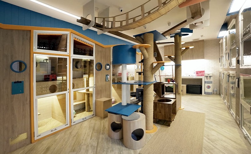 Thêm Vật Dụng Gắn Kết Và An Toàn