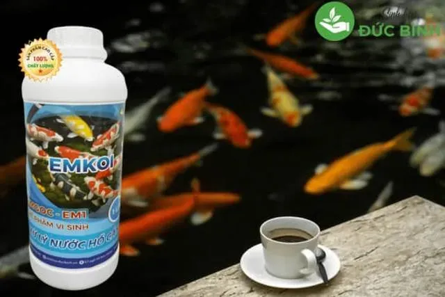 Làm sạch bể cá không cần thay nước bằng chế phẩm sinh học EMKOI