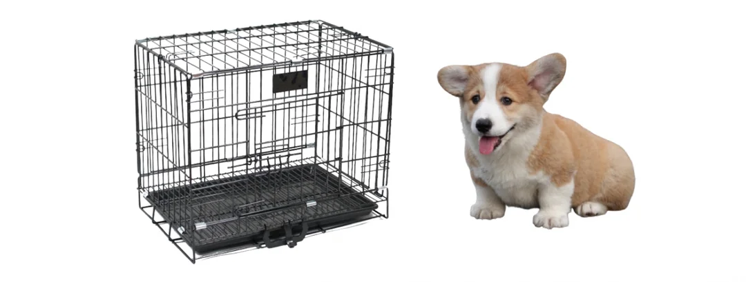 lồng chó corgi hỗ trợ tập ngủ và tập vệ sinh