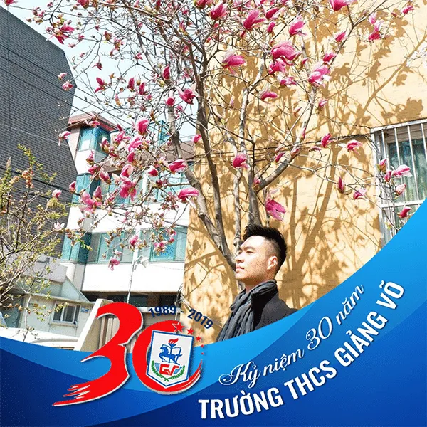 trải nghiệm đón mèo cảnh tại hà nội