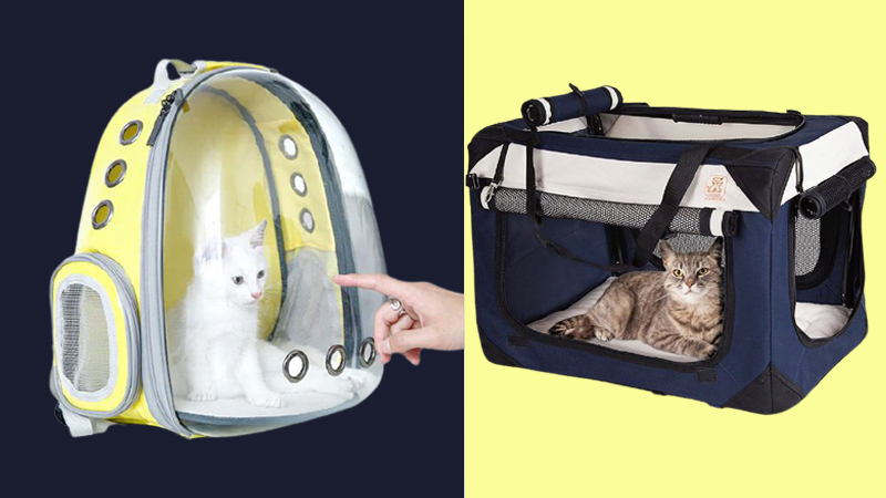 Những Điều Cần Chuẩn Bị Trước Khi Đón Mèo Về Nhà