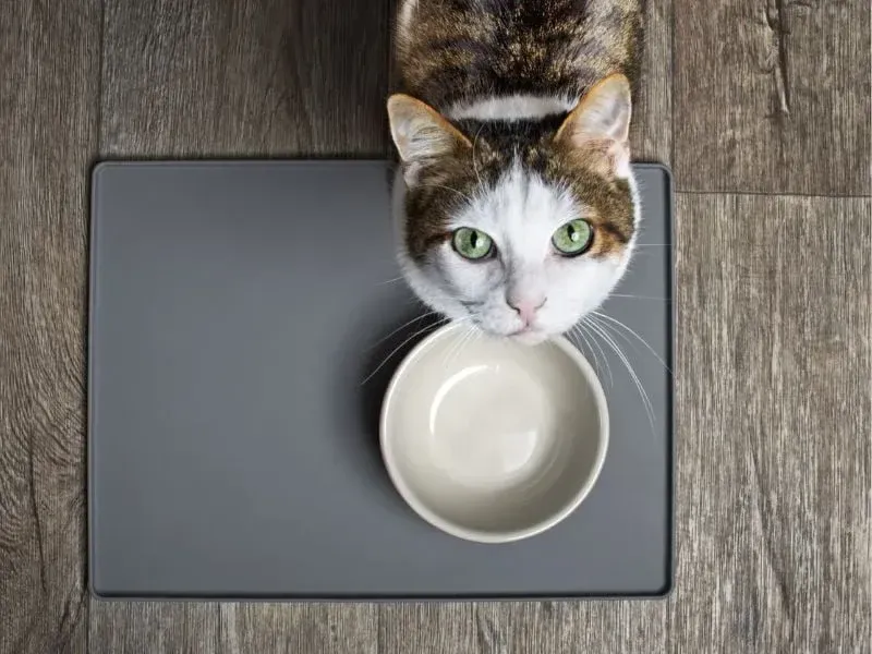 Môi trường ăn uống sạch sẽ, yên tĩnh rất quan trọng