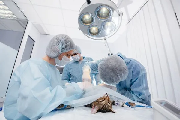 Quy trình chẩn đoán tại phòng khám giúp xác định chính xác nguyên nhân bệnh