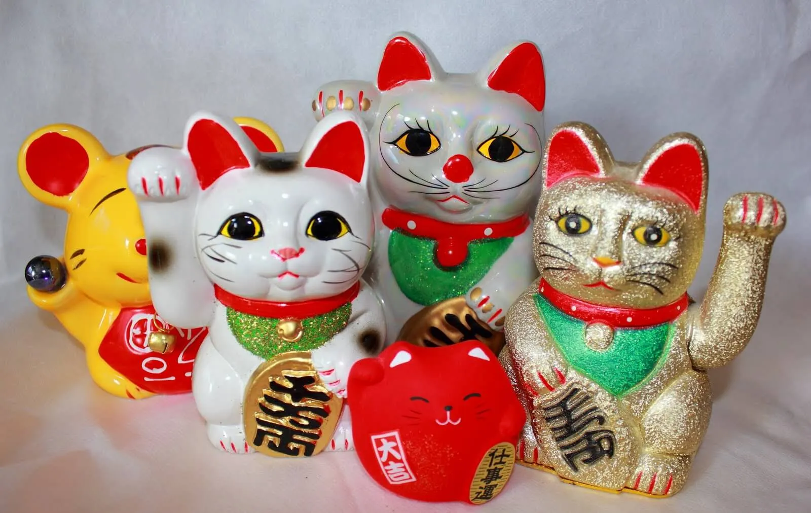 Mèo tam thể nằm thư giãn trên sofa