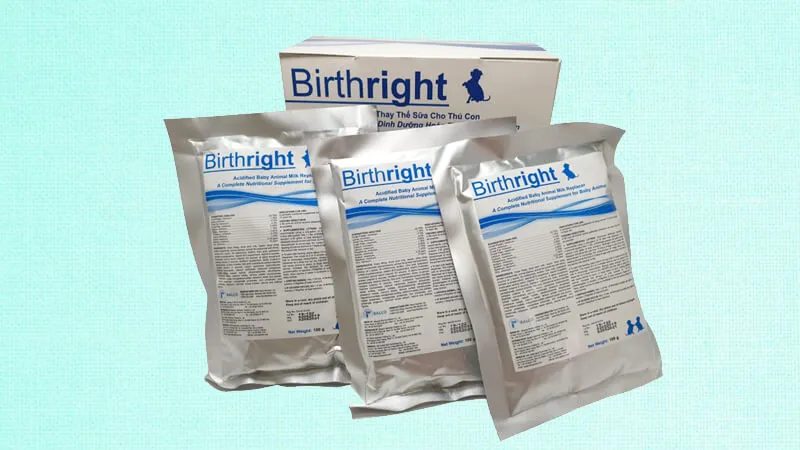 Sữa bột Birthright cho mèo con