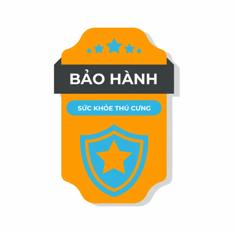 Chế độ bảo hành sức khỏe