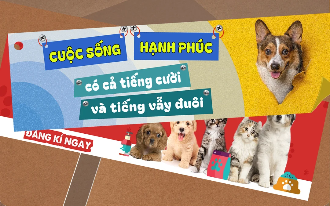 mua chó corgi - hình minh họa 2