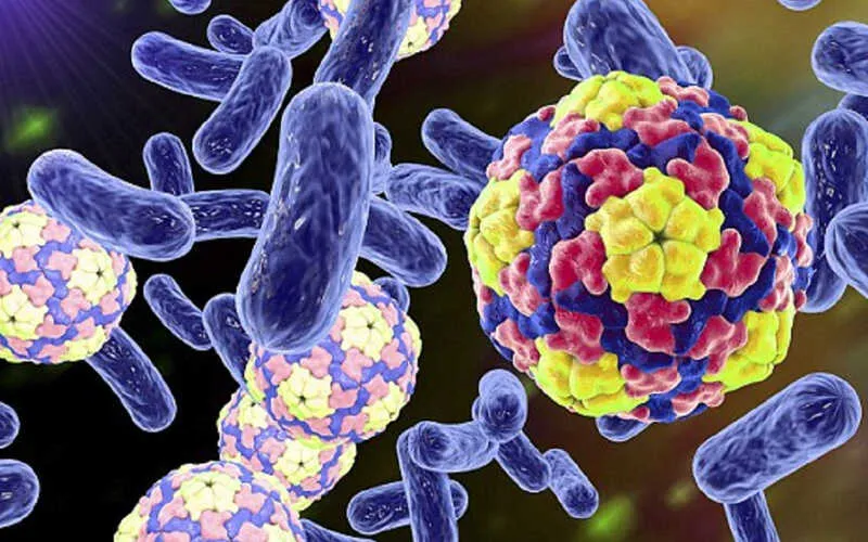 Mèo gặp tình trạng đi ngoài phân lỏng do nhiễm các loại giun sán đường ruột