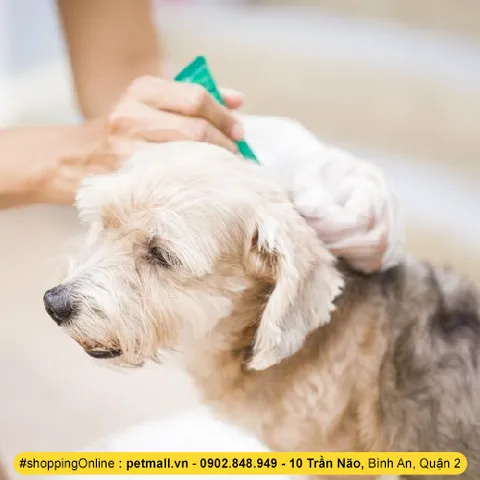 Thuốc nhỏ gáy Frontline giúp diệt trừ ve rận và bảo vệ da cho chó