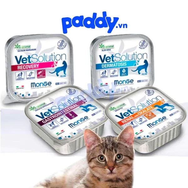 Pate Monge Vet Solution chăm sóc tiết niệu